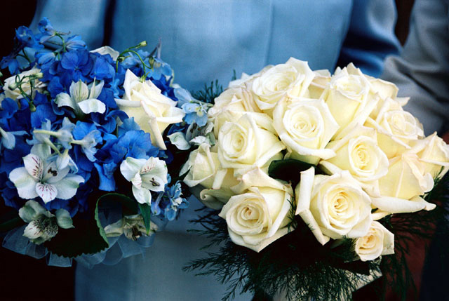 A wedding bouquet consisting of ivory roses and a maid-of-honor's bouquet of blue hydrangeas and white orchids.