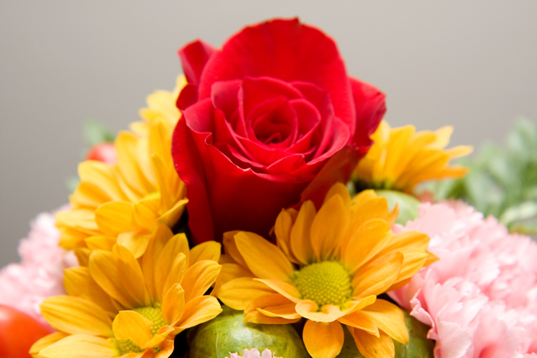 A centerpiece consisting of a red rose, yellow daisies, pink carnations, and brussel sprouts.